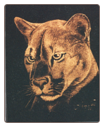 ENGRAVED ART ENGRAVED ART