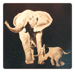 MOTHER AND BABY ELEPHANT MOTHER AND BABY ELEPHANT