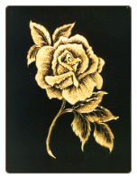 ENGRAVED ROSE ENGRAVED ROSE