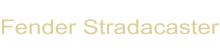 Fender Stradacaster